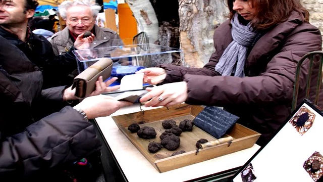 法国黑松露多少钱一斤，带你去市场看看！