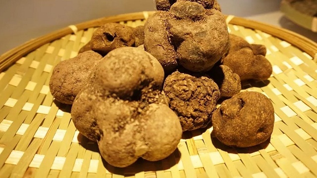 【揭秘】黑松露为什么这么贵，多少钱一斤？