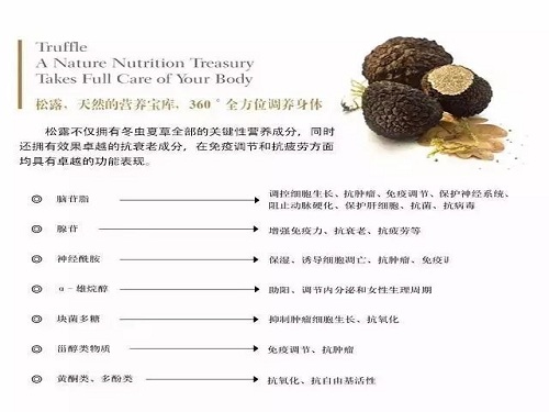 alt=黑松露所含成分及功效