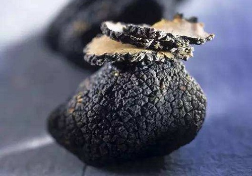 alt= 黑松露具有“实地黄金”的美誉