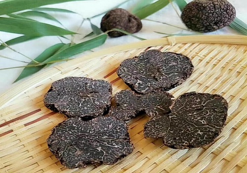 alt=黑松露非常的稀少