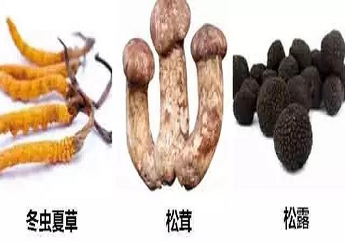 alt=松露,松茸和冬虫夏草的外表区别
