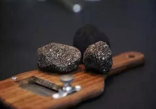 alt=松露的价值