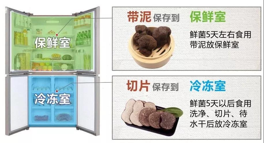 刚买的新鲜松露该如何保存?