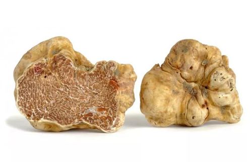 六种烹饪松露的方法