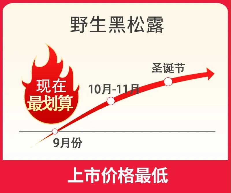 黑松露的价格趋势图