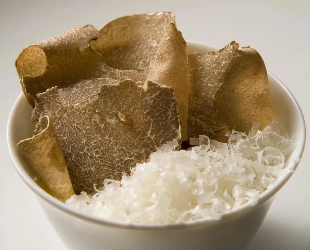 松露品种