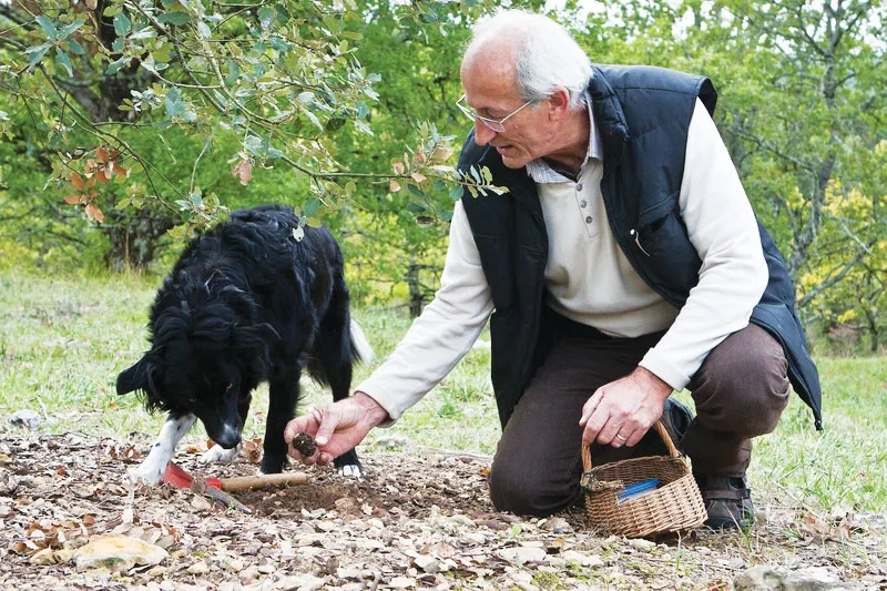 Edouard与自己的爱犬