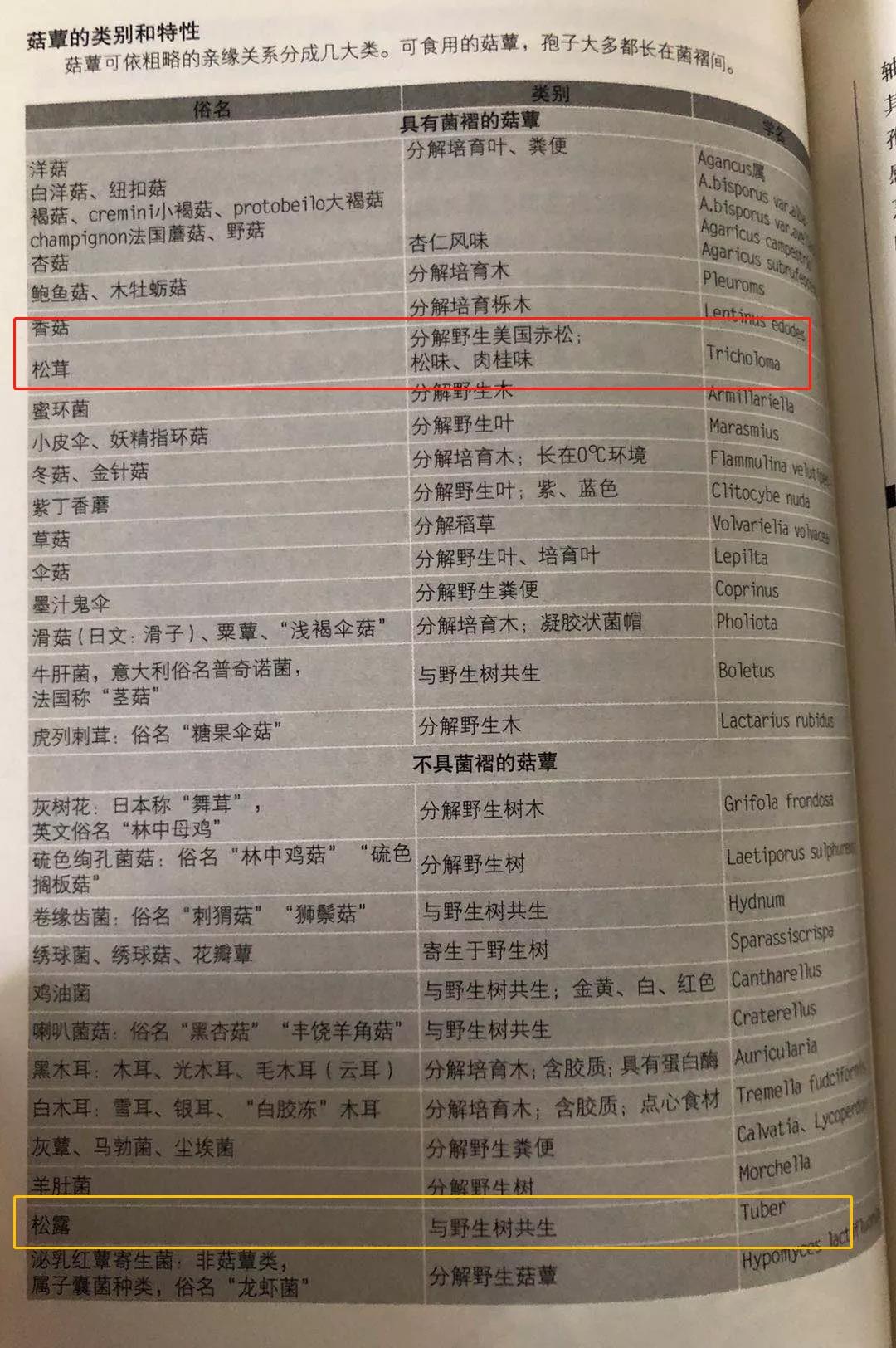 松露和松茸的区别